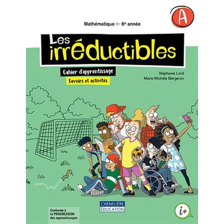 LES IRREDUCTIBLES 6 ANNEE